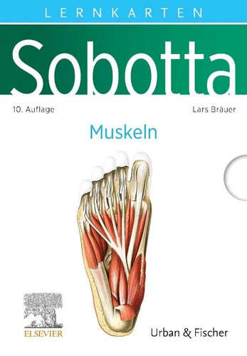 Lars bräuer sobotta - lars, |