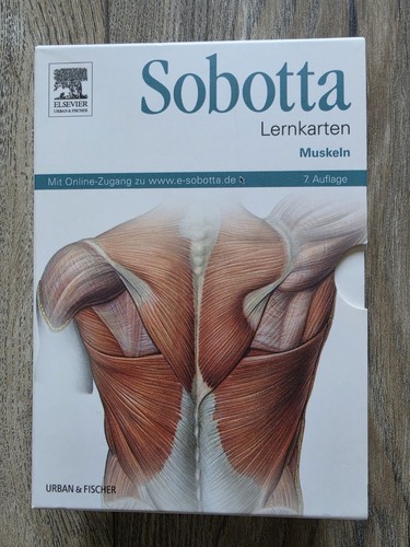 Sobotta lernkarten muskeln - muskeln, –