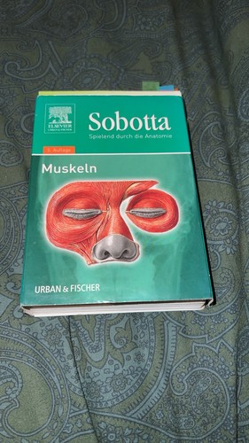 Sobotta lernkarten muskeln - lernkarten,