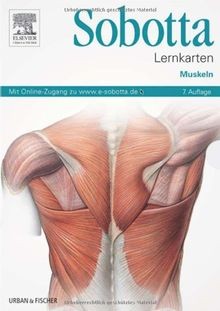 Sobotta lernkarten muskeln - sobotta,