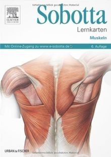 Sobotta lernkarten muskeln - lernkarten,