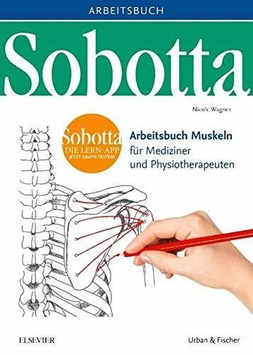 Sobotta arbeitsbuch muskeln - sobotta,