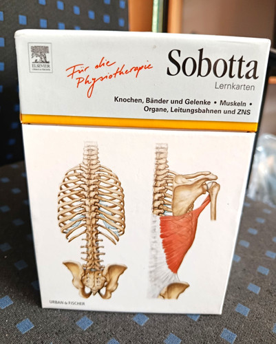 Sobotta lernkarten - sobotta,