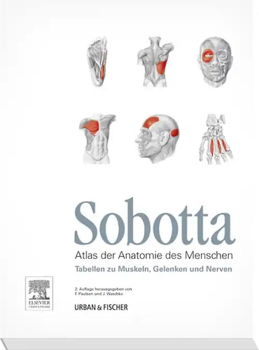 Sobotta tabellen muskeln - sobotta,