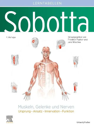Sobotta lerntabellen anatomie - sobotta,