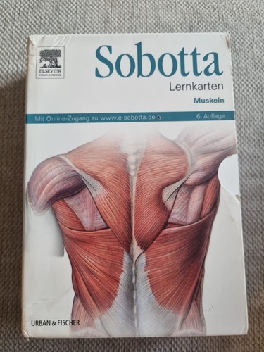 Sobotta lernkarten muskeln - sobotta,