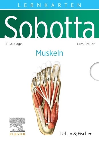 Sobotta lernkarten anatomie - sobotta,