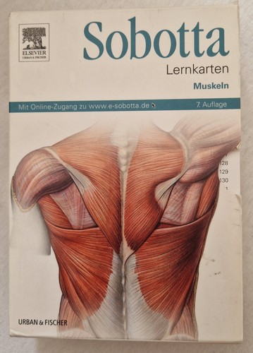 Sobotta lernkarten muskeln - sobotta, 6
