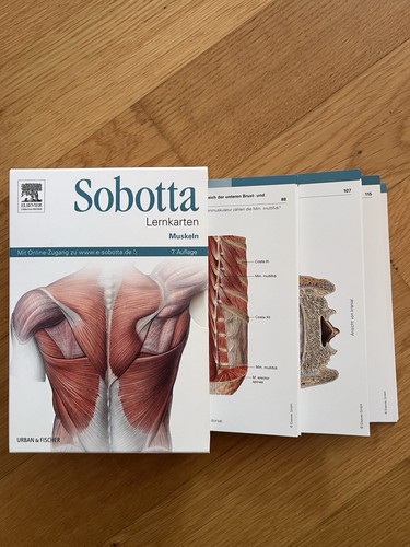 Sobotta lernkarten muskeln - sobotta, 7