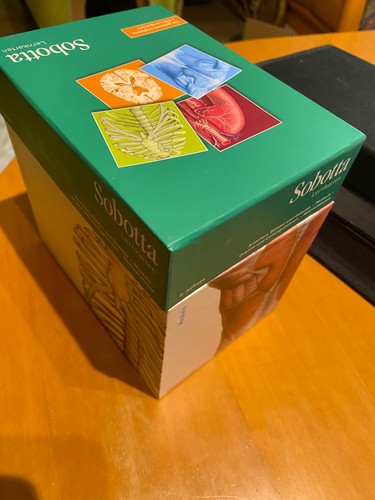 Sobotta lernkarten knochen - sobotta,
