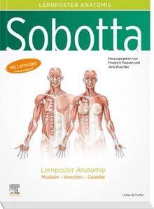 Sobotta lernposter anatomie - lernposter,