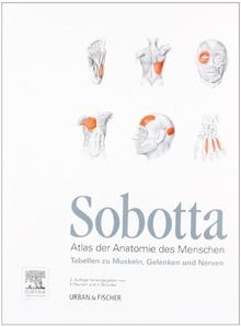 Sobotta tabellen muskeln - tabellen,